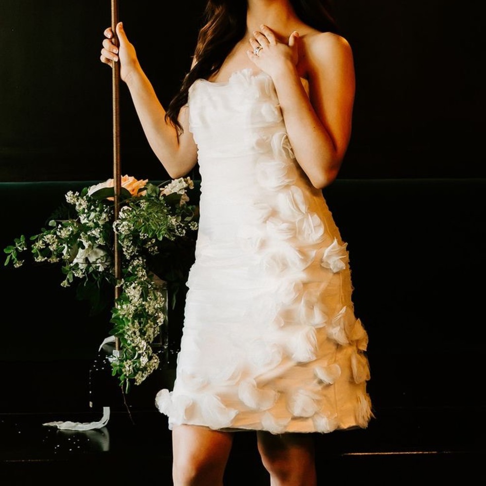 NWT! Applique Dress- Zimmerman ish Silk White Dress!! 🤍💍✨ - Picture 2 of 2